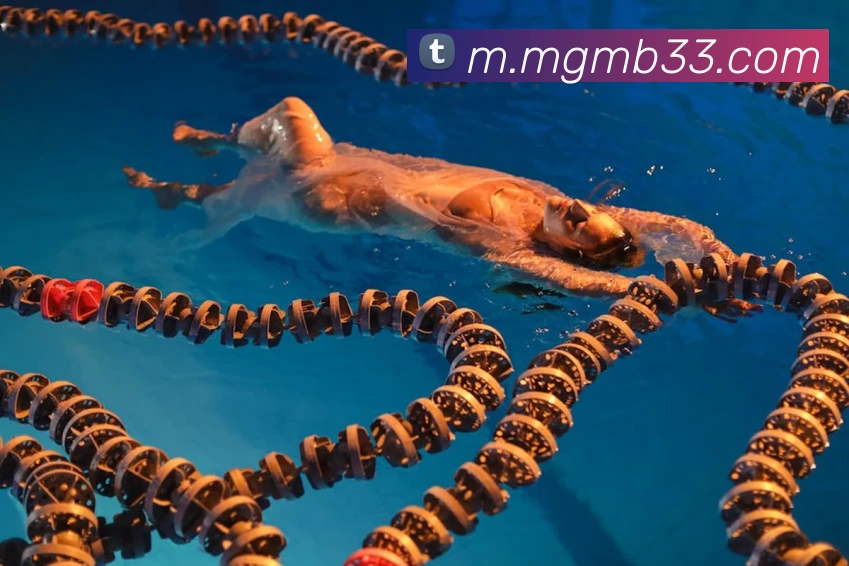 美高梅mgmAPP 封面图